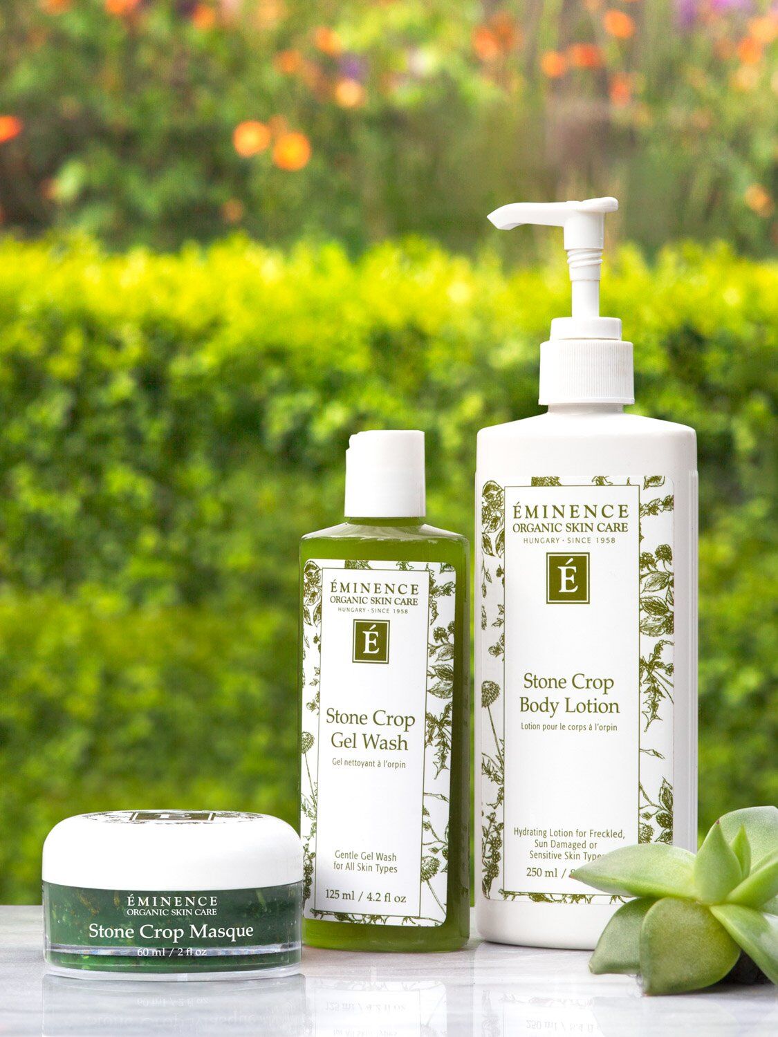 Stone Crop Gel Wash 2 Stone Crop Gel Wash - Image 2